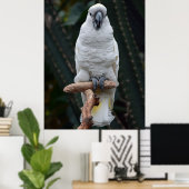 Witte cockatoo poster (Thuiskantoor)