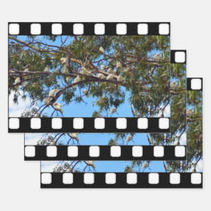 Witte cokatoten in gombomen, schroot van cadeautje inpakpapier vel