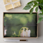 Witte Columbine bloem en ontkoppeling van bijen Tissuepapier (Geschenk)