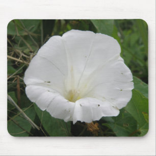 -witte convolvulus Bloem-mousepad Muismat