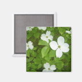 Witte Cornus boom Magneet (Voorkant / Achterkant)