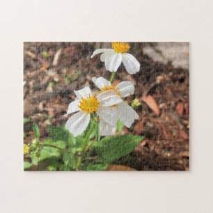 Witte Cosmo Bloemen Tuin Lente Bloemisterij Legpuzzel