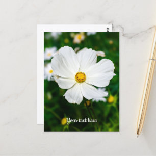 Witte Cosmos Ansichtkaart Briefkaart