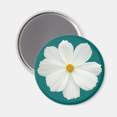 Witte Cosmos Bloem Magneet (Voorkant / Achterkant)
