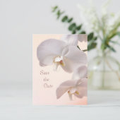 Witte crème orchideeën Save the Date (Staand voorkant)