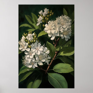 Witte Crêpe Myrtle Flowers Art Print Poster