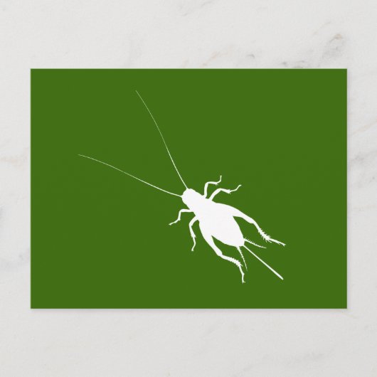 Witte cricket briefkaart (Voorkant)