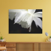 Witte Daffodils Bloemen Fotoprint Canvas Afdruk (Insitu (Woonkamer))