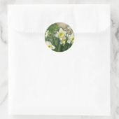 Witte Daffodils Ronde Sticker (Tas)