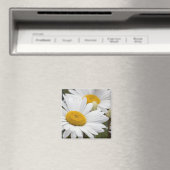 Witte Dagen Magneet (Insitu (Vaatwasser))