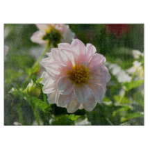Witte dahlia in de tuin foto