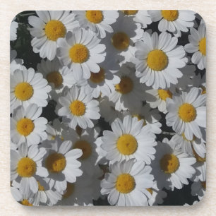 Witte Daisies Plastic Onderzetter