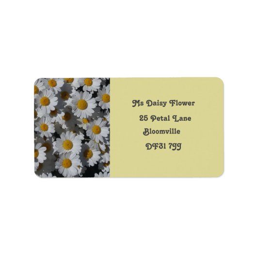 Witte Daisies retour adres label (Voorkant)