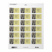 Witte Daisies retour adres label (Full Sheet)