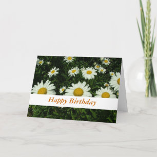 witte daisy bloemen gefeliciteerd kaart