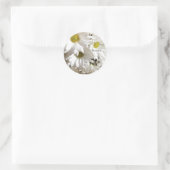 Witte Daisy Flower Aangepaste Envelop Afdichtingen Ronde Sticker (Tas)