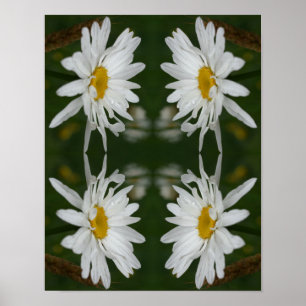 Witte Daisy Flower Abstract Poster