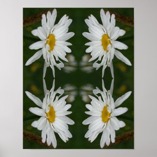 Witte Daisy Flower Abstract Poster (Voorkant)