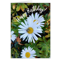 Witte Daisy Flower met een Bee Birthday Kaart