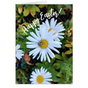 Witte Daisy Flower met een Bee Easter Kaart