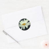 Witte Daisy Flower Raindrops Ronde Sticker (Envelop)