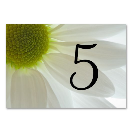 Witte Daisy Petals Tafelnummers (Voorkant)