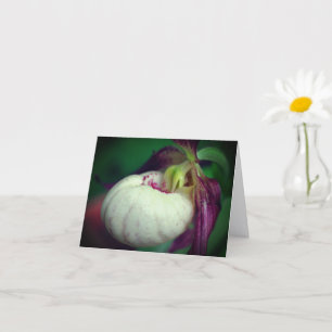 Witte Dame Slipper Orchidee Bloem Fotografie Notit Kaart