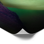 Witte Dame Slipper Orchidee Flower Mirror Abstract Poster (Hoek)