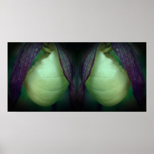 Witte Dame Slipper Orchidee Flower Mirror Abstract Poster