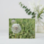 Witte dandelion bloem op groen gras briefkaart (Staand voorkant)