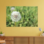 Witte dandelion bloem op groen gras canvas afdruk (Insitu (Woonkamer))