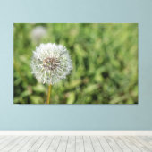 Witte dandelion bloem op groen gras canvas afdruk (Insitu (Houten vloer))