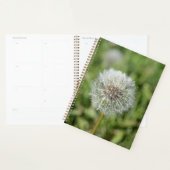 Witte dandelion bloem op groen gras planner (Display)