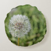 Witte dandelion bloem op groen gras rond kussen (Achterkant)