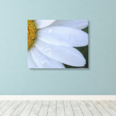 Witte Dewy Daisy Closeup Canvas Print (Insitu (Houten vloer))