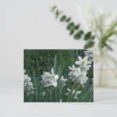 "Witte diaffodil" Briefkaart (Staand voorkant)