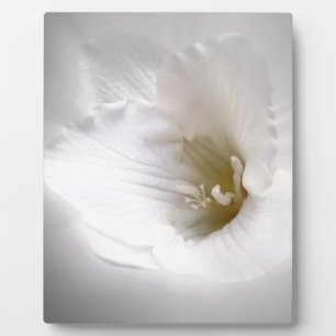 witte diepte fotoplaat