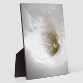 witte diepte fotoplaat (Zijkant)