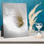 witte diepte fotoplaat (Zijkant)