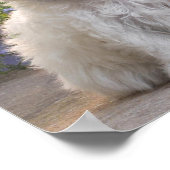 Witte dieren poster (Hoek)