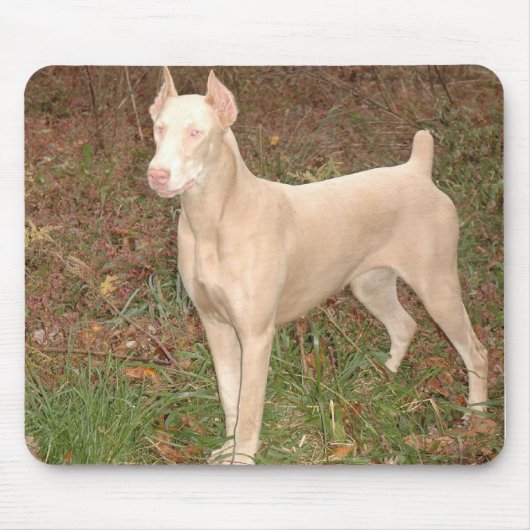 witte doberman muismat (Voorkant)