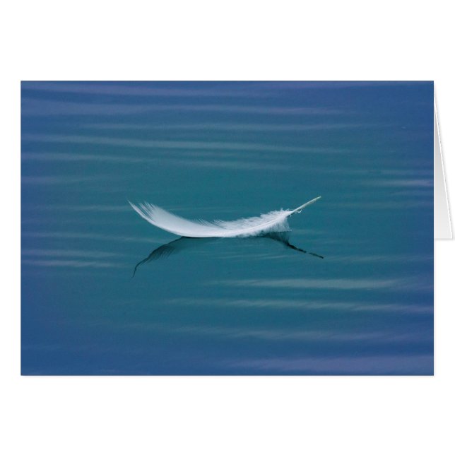 Witte doezelaar op water (Voorkant Horizontaal)