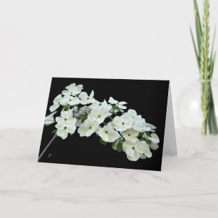 Witte Dogwood Bloemen op zwart All Occasion Blank Kaart