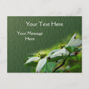 Witte Dogwood Blossingbloem Briefkaart