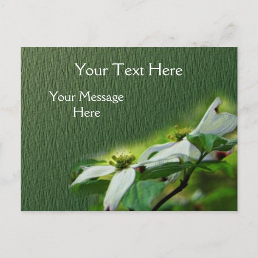 Witte Dogwood Blossingbloem Briefkaart (Voorkant)