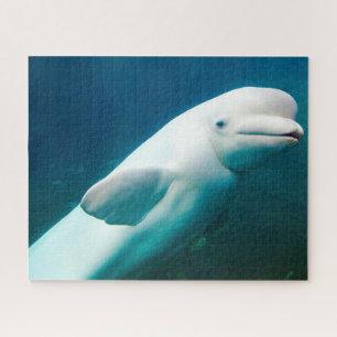 Witte Dolfijn Legpuzzel