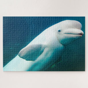 Witte dolfijnen van de zee. legpuzzel