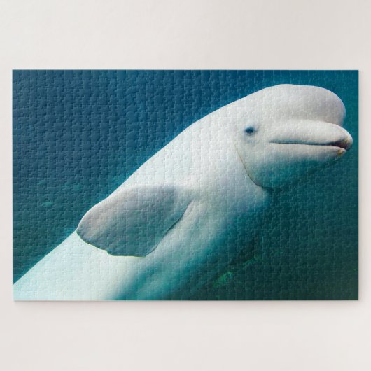 Witte dolfijnen van de zee. legpuzzel (Horizontaal)