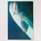 Witte dolfijnen van de zee. legpuzzel (Verticaal)