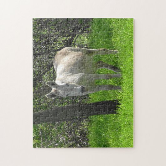 Witte Donkey op het Boerderij in het Midwesten Legpuzzel (Verticaal)